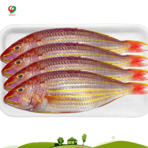 Cá đổng đỏ