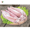 Mực ống