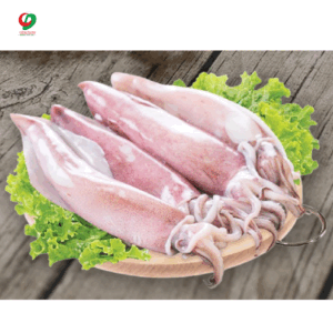 Mực ống